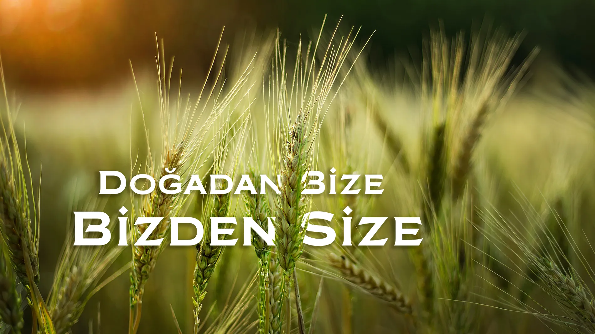 Doğadan bize, bizden size — Cem Un